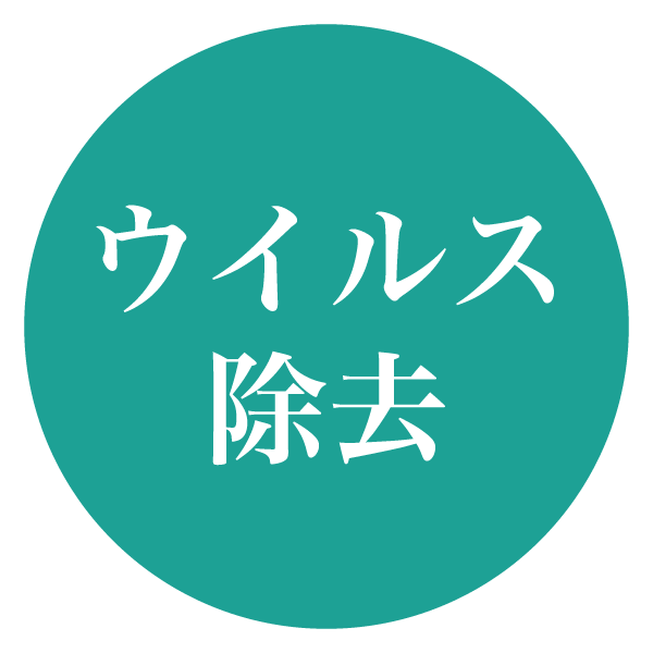 ウイルス除去